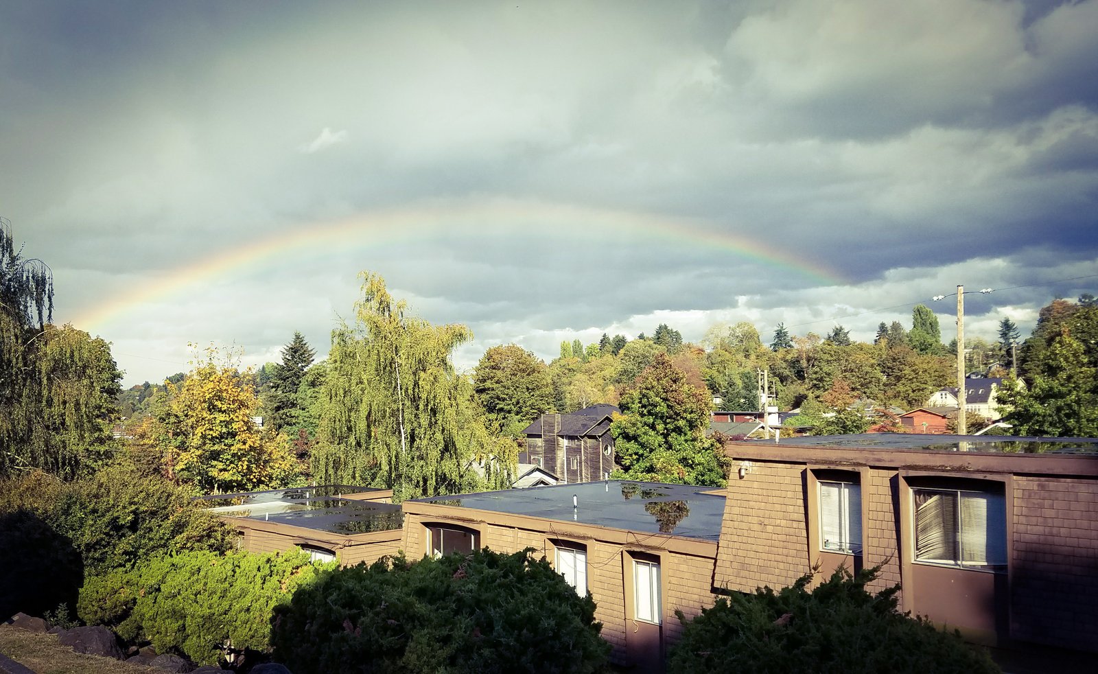 A rainbow over an apartment complex and trees