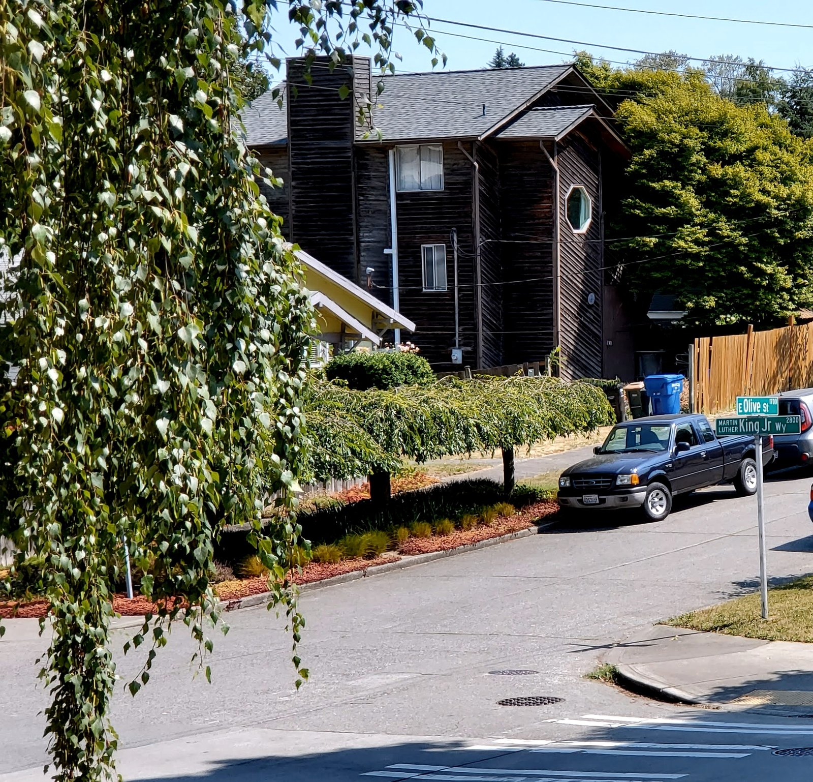 A residential street with houses and a large tree